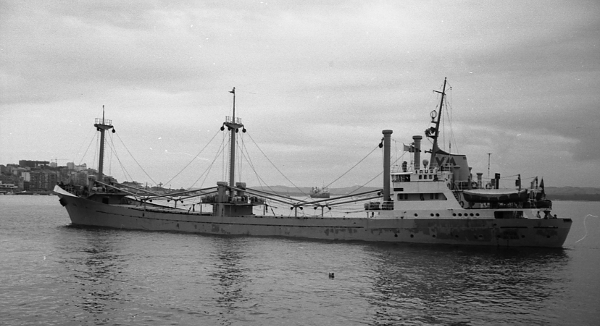 Irus por T. Diedrich Irus por T. Diedrich